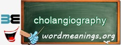 WordMeaning blackboard for cholangiography